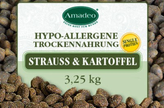Amadeo Heiße Angebote