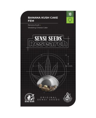 Sensi Seeds Heiße Angebote