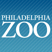 Philadelphia Zoo deals and promo codes