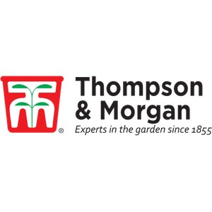 Thompson and Morgan discount codes