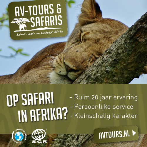 AV-Tours