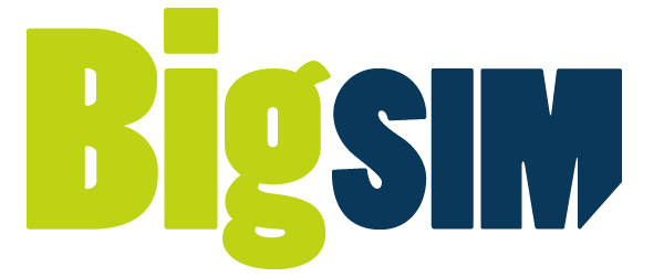 BigSIM