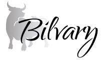 Bilvary Angebote und Promo-Codes