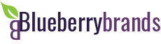 Blueberry Brands discount codes