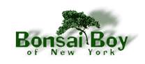 bonsaiboy.com deals and promo codes