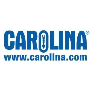 Carolina deals and promo codes