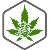 CBDBlume