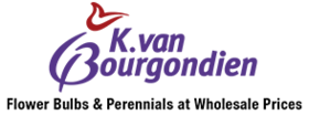 K. Van Bourgondien deals and promo codes