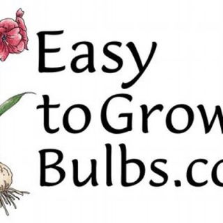 Easy To Grow Bulbs deals and promo codes