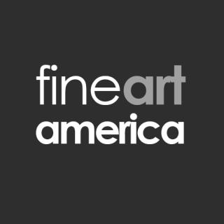 Fine Art American deals and promo codes