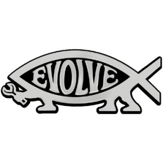 Evolve Fish discount codes