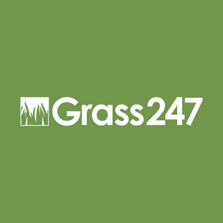 Grass 247