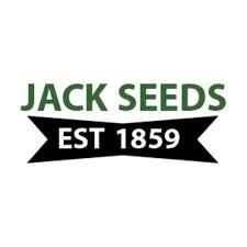 Jack Seeds