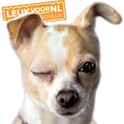 Leukvoornl