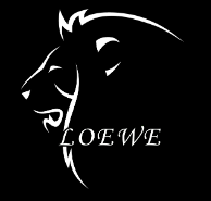 Loewe Angebote und Promo-Codes