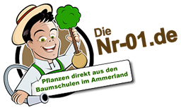 Nr-01.de