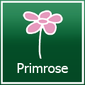 Primrose Angebote und Promo-Codes