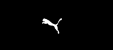 Puma Germany