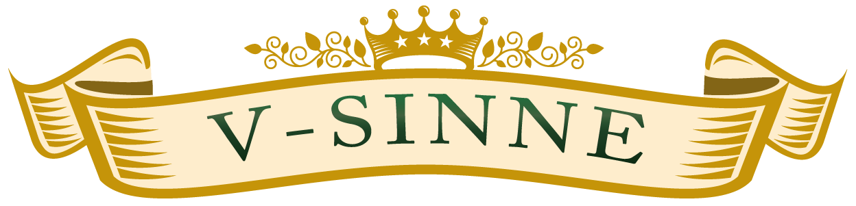 V-SINNE