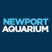 Newport Aquarium deals and promo codes