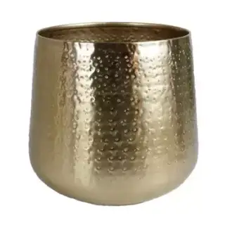 Toptuincentrum Hete Verkoop