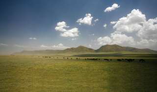 Tanzania Specialist Hete Verkoop