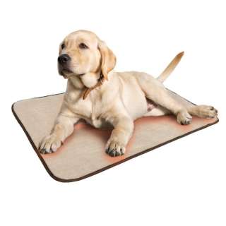 premiumpetshop Heiße Angebote