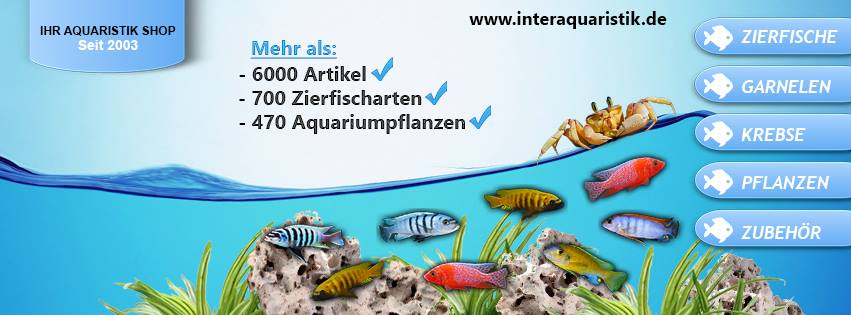 Interaquaristik