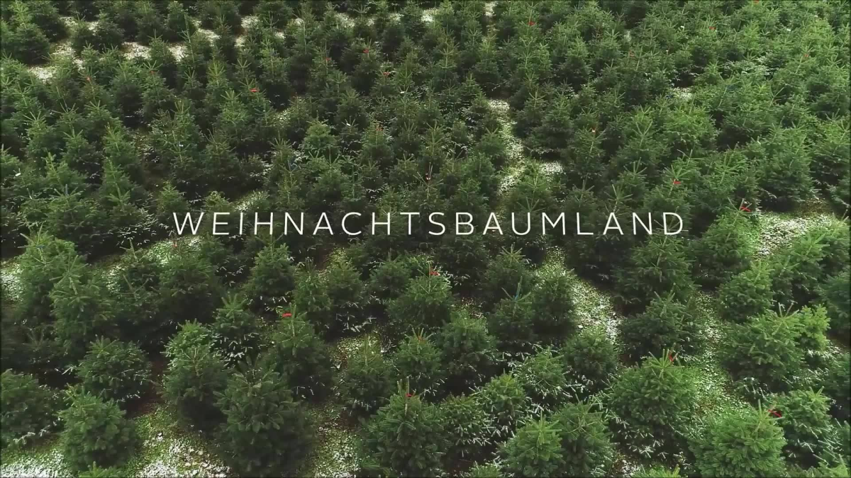 Weihnachtsbaumland