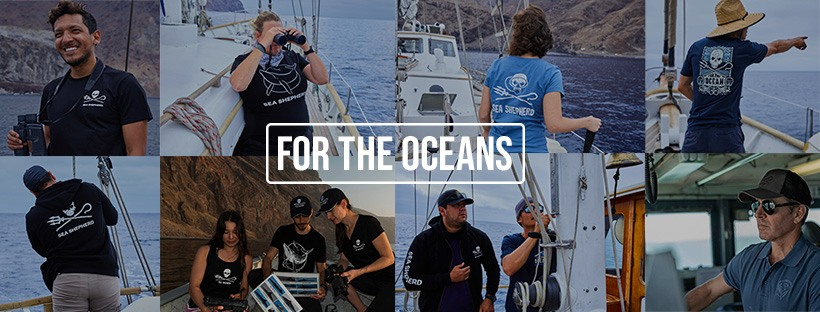 Sea Shepherd