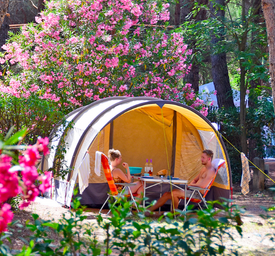 Campings.com Hete Verkoop