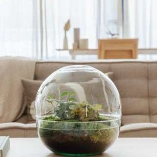 Growing Concepts Hete Verkoop