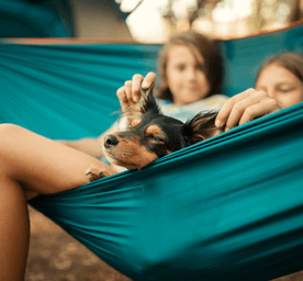 Campings.com Hete Verkoop