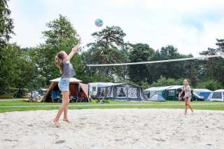 Witterzomer Hete Verkoop