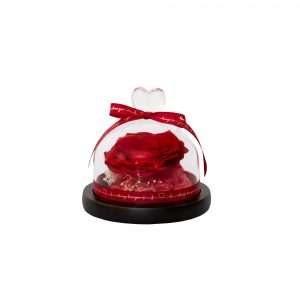 Cupidoschoice Hete Verkoop