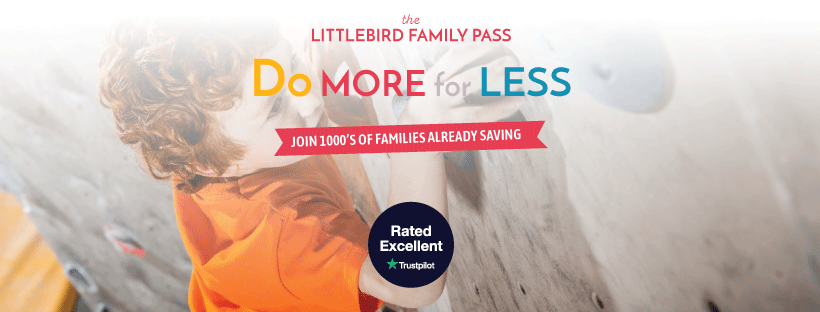 LittleBird family pass
