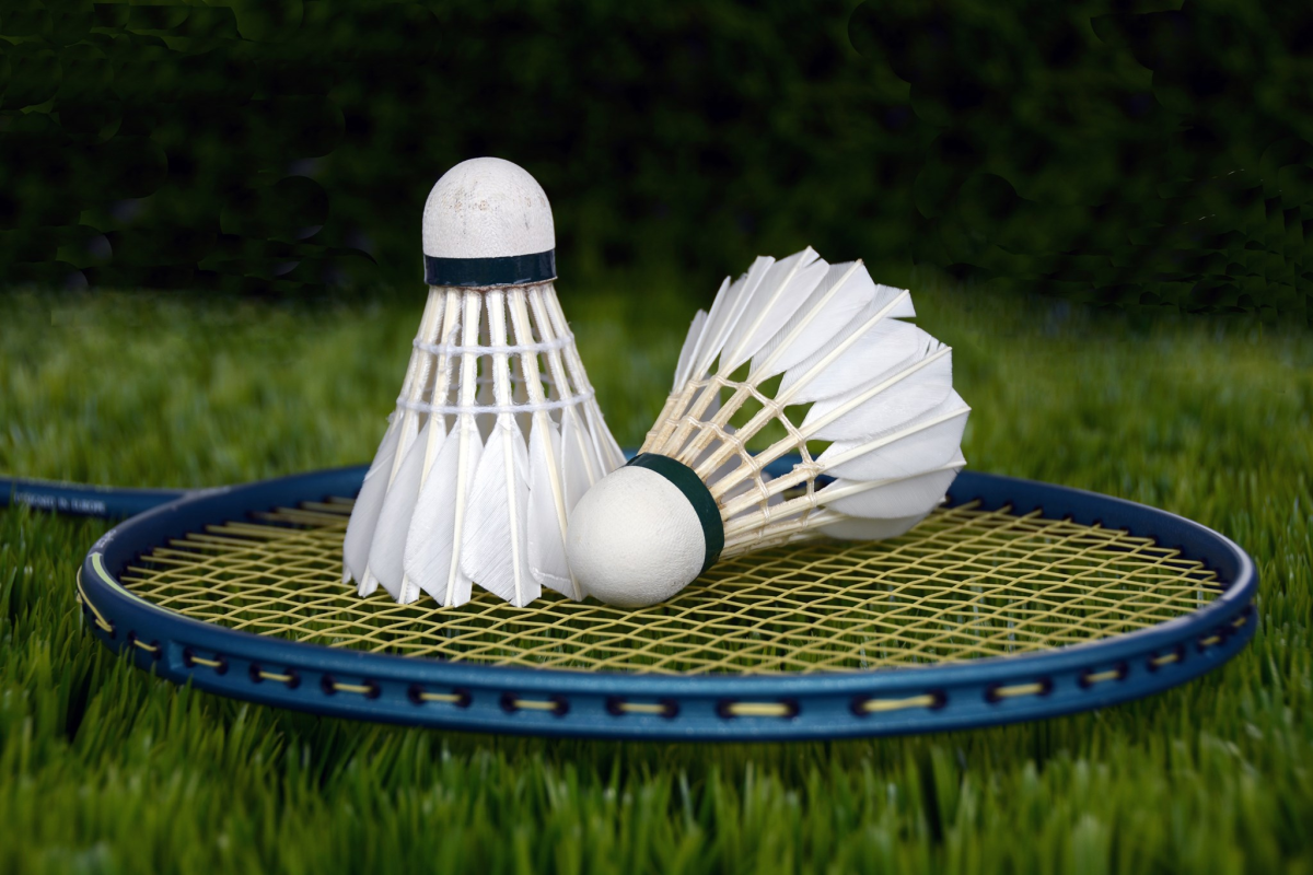 Badmintonhandel